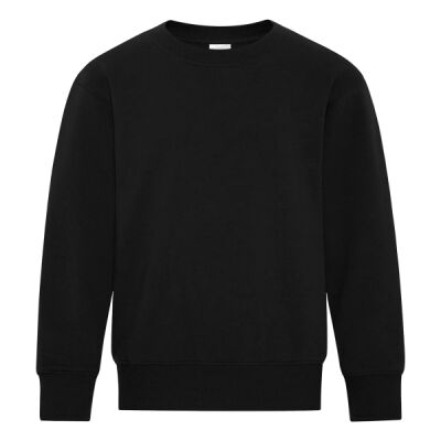 Everyday Fleece Crewneck youth Sweatshirt Thumbnail