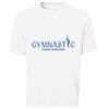 PRO TEAM SHORT SLEEVE TEE / T-SHIRT À MANCHES COURTES PRO TEAM Thumbnail
